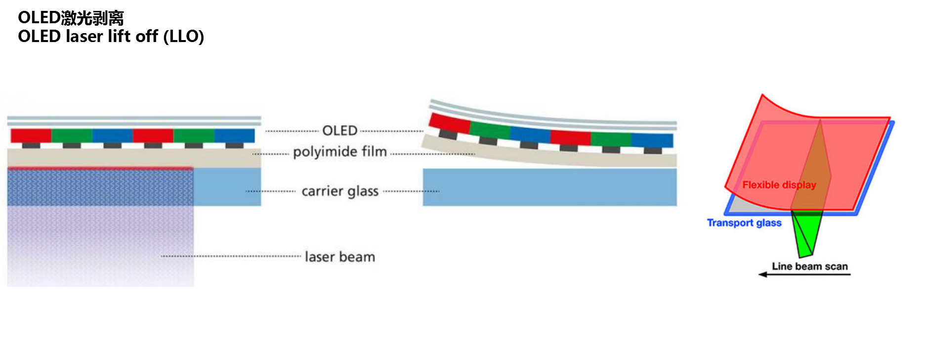 圖片3.png 圖片3.png